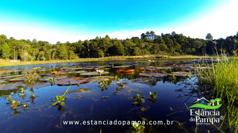 DOS EÓLICOS VIRA P FAZENDA_Moment.00_04_49_15.Quadro416_e4d08c7683bf6829110c24e26b0703cad5749584.jpg